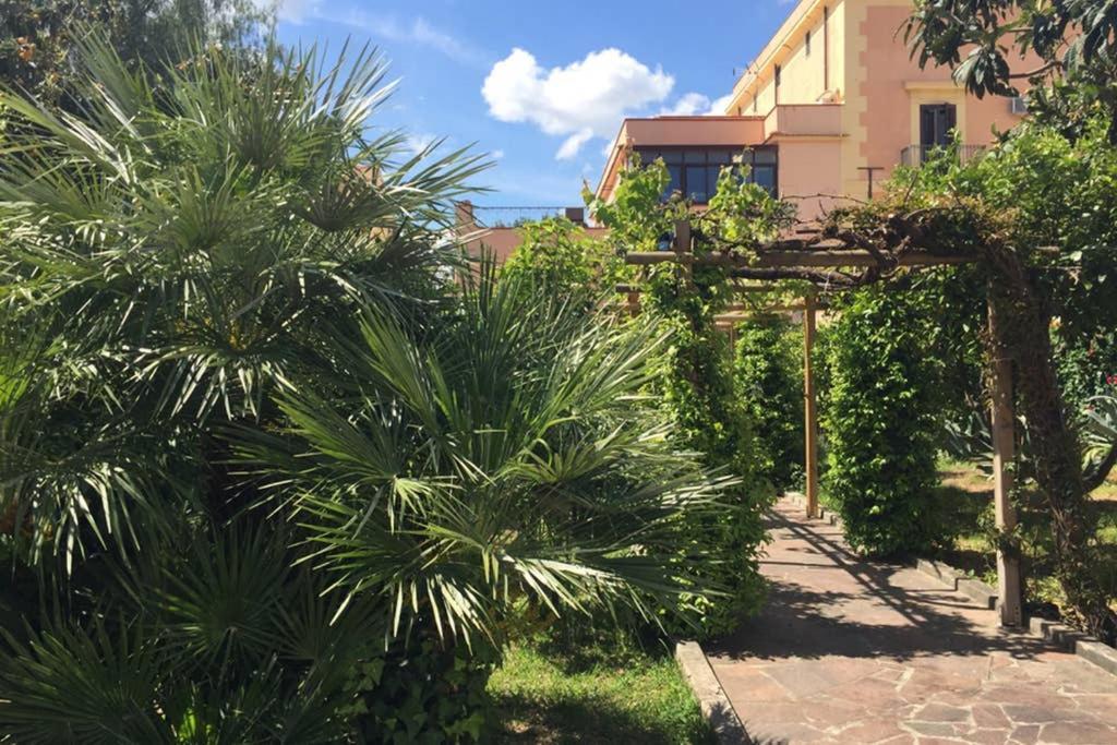 Villa La Rina Παλέρμο Εξωτερικό φωτογραφία